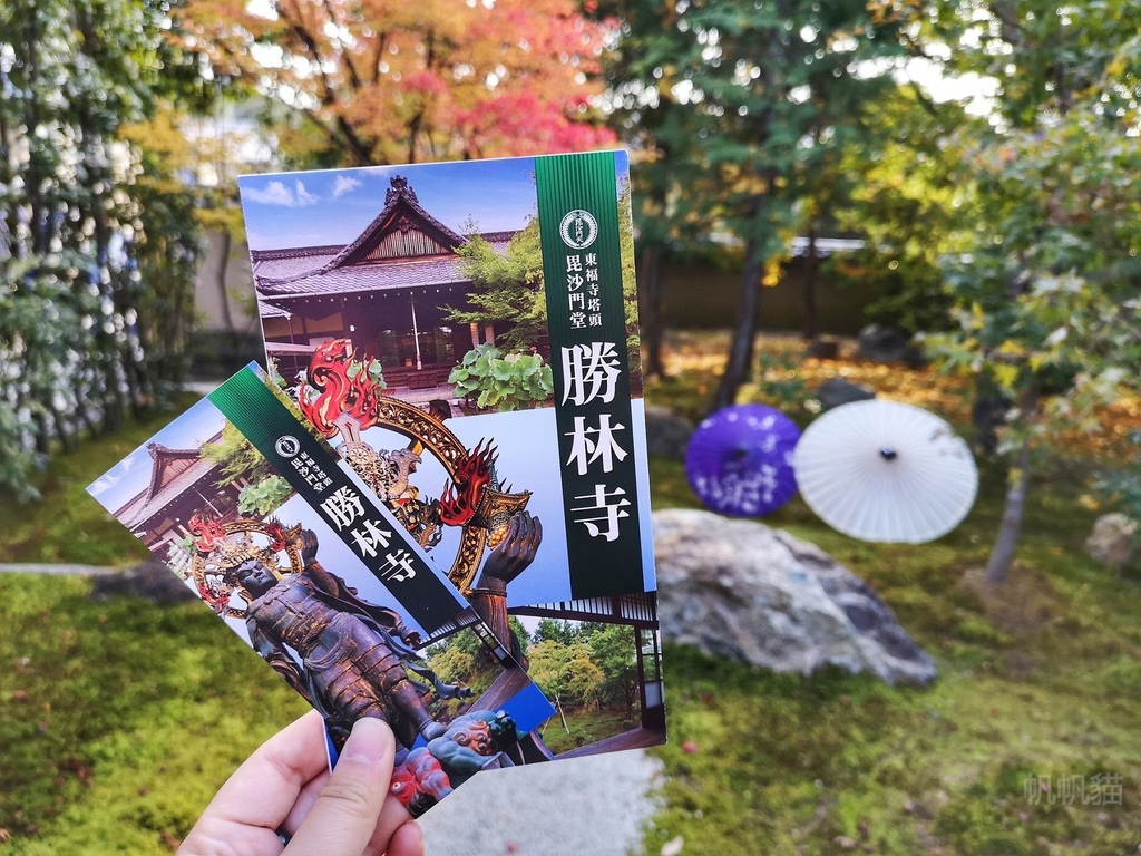 PhotoCap_049