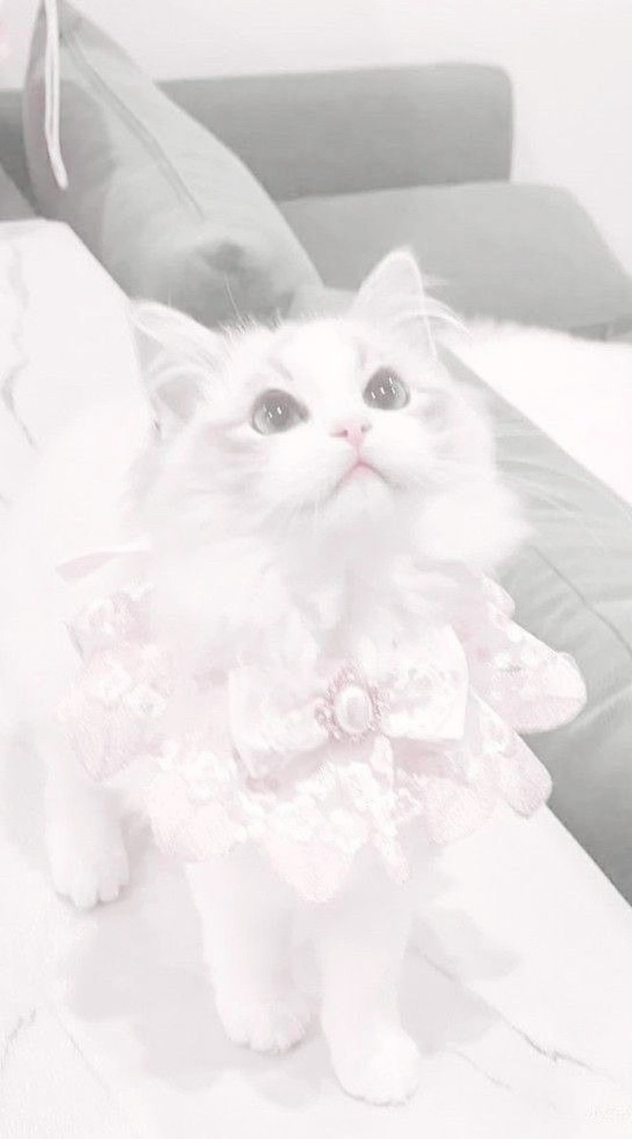 アイドルなりたい子おいで〜💓