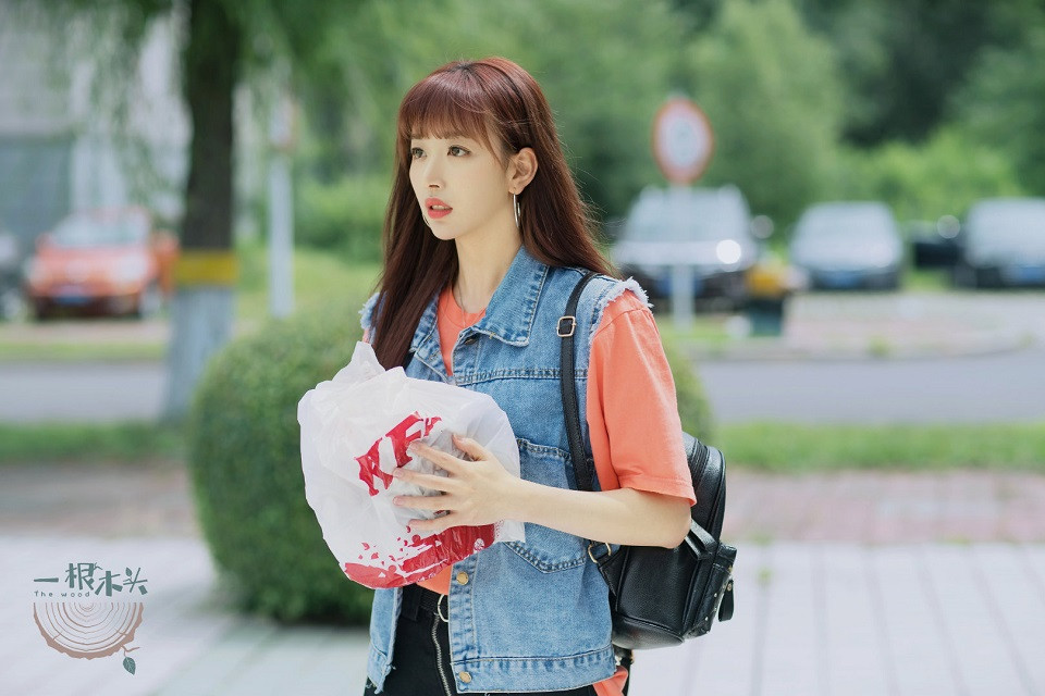 近期熱播的甜寵陸劇6：周川珺、陳姝君《一根木頭》