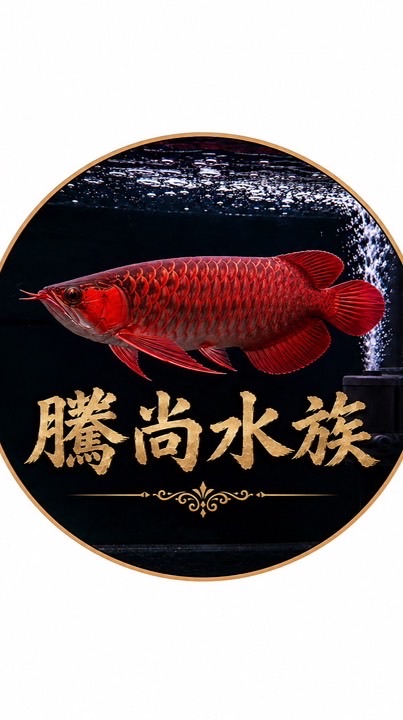 騰尙水族