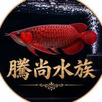 騰尙水族