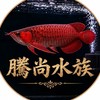 騰尙水族
