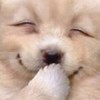 中学生でyoutuber目指してる人！！！