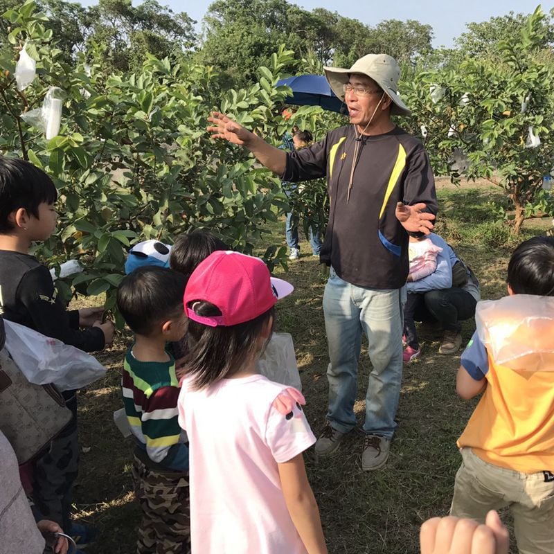 台灣農場趴趴走-[台南]採果體驗-吳叔叔果園(芒果、芭樂、蜜棗)