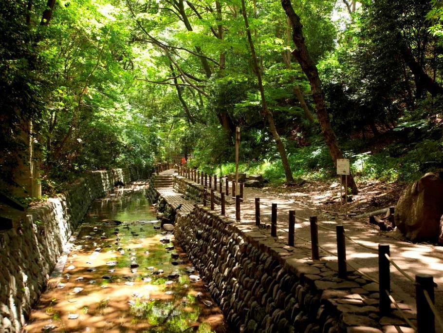 東京等等力溪谷公園