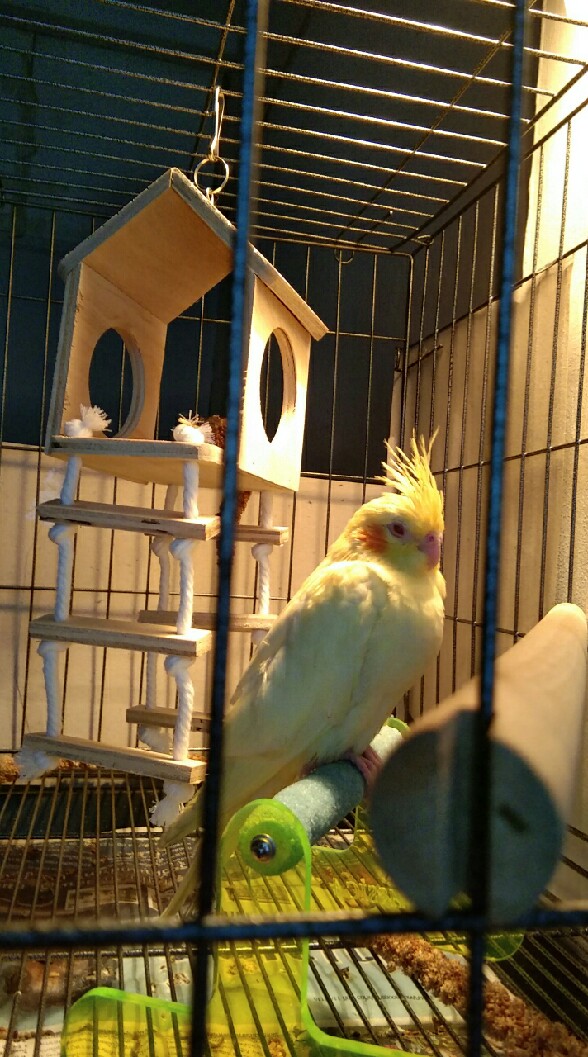 🐣ชมรมคน ทาสนก🐥