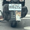 無線電幹部
