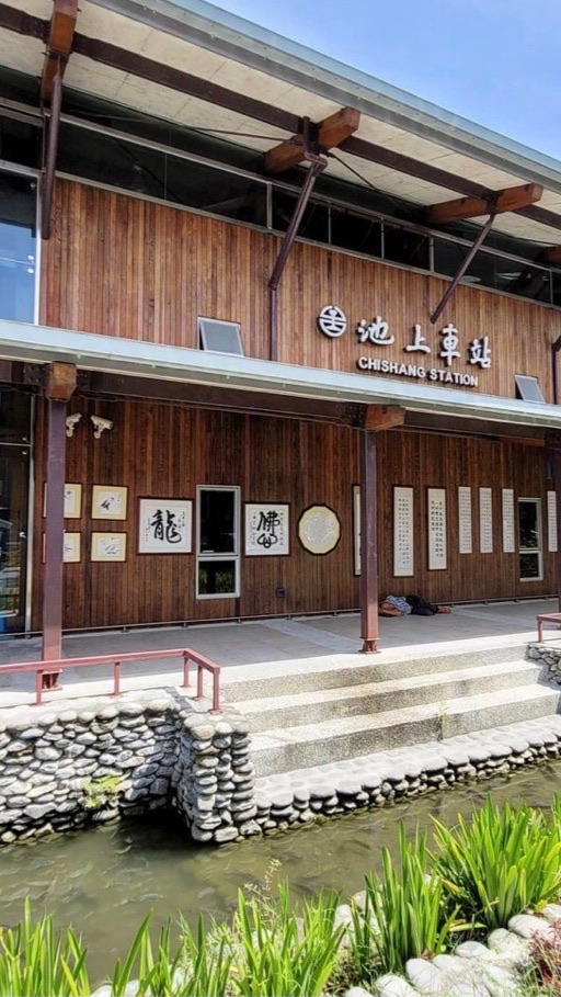 11/12台東池上火車ㄧ日遊