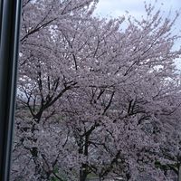 弥富看護学校🙌