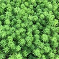 部落格接案媒合