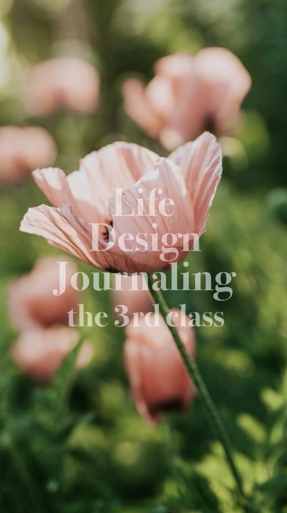 Life design Journaling 3期