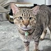 台南按摩大會師