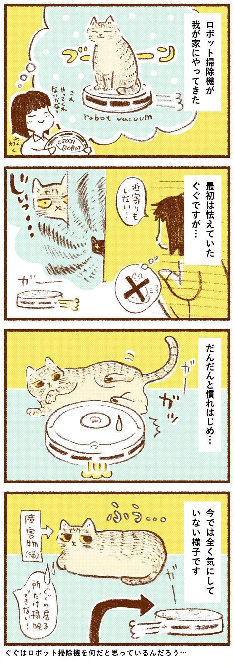 ルンバに乗った猫 を期待して 猫との残念な距離感