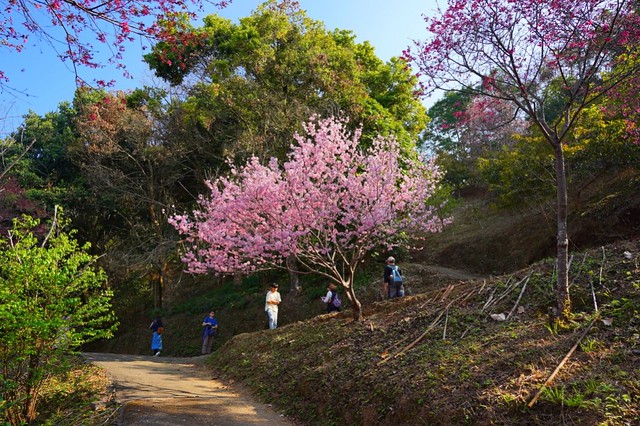 佛慈山靜觀精舍