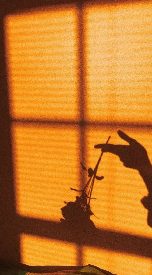 𝑯𝒂𝒊𝒌𝒚𝒖𝒖 𝑿 𝑶𝒎𝒆𝒈𝒂𝒗𝒆𝒓𝒔𝒆 𝑹𝒐𝒍𝒆𝒑𝒍𝒂𝒚.
