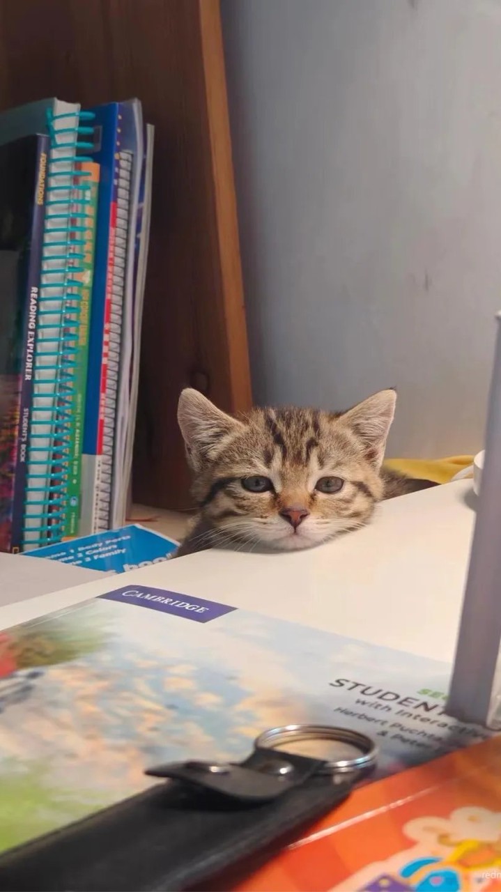 เชิดชูเกียรติสถานศึกษาในการติดตามผู้สำเร็จการศึกษา