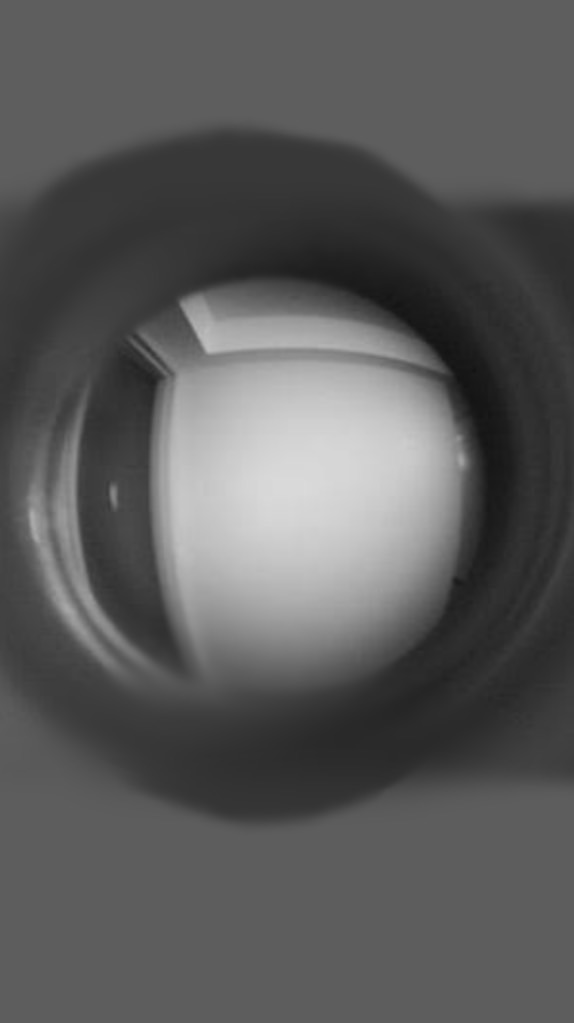 君を見たいの ： 全緩ハント
