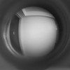 君を見たいの ： 全緩ハント
