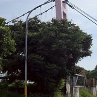 斗六紫藤湖 斗南情人吊橋