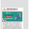 安群科技