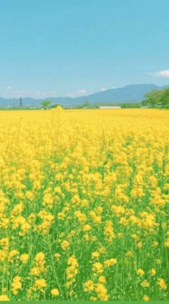 昭和世代🌼介護🌼みなさんと一緒に語ろう🍀（60歳以上・少人数）