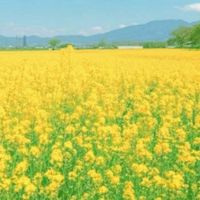 昭和世代🌼介護🌼みなさんと一緒に語ろう🍀（60歳以上・少人数）