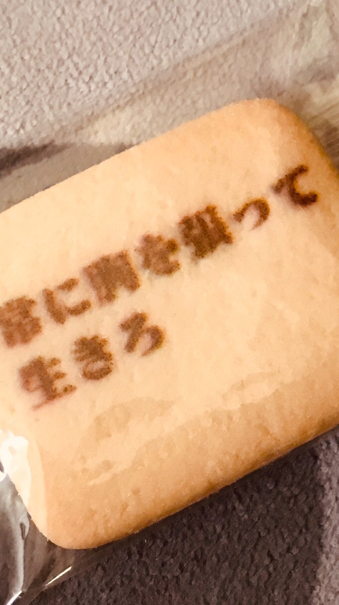 OpenChat ノクちゃんとその仲間たちを愛でる会