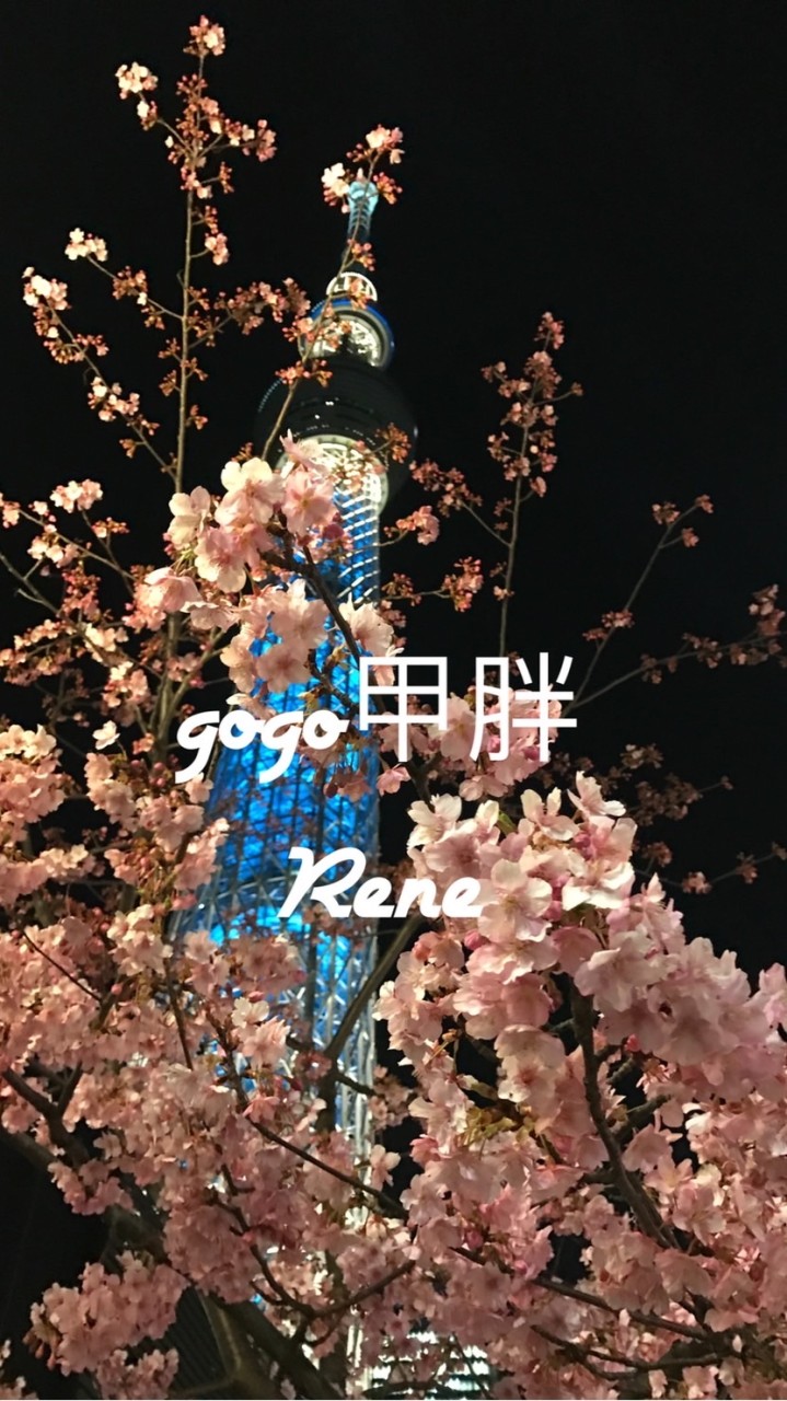 gogo甲胖 日本代購 批發 零售 團購 日貨 韓貨