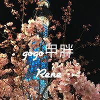 gogo甲胖 日本代購 批發 零售 團購 日貨 韓貨