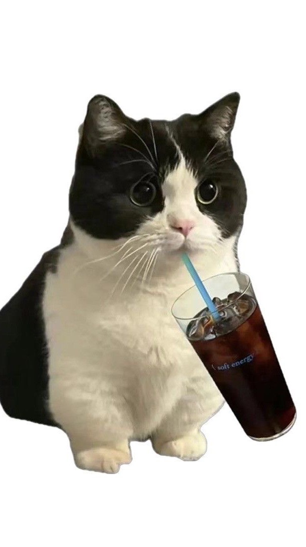 เรียนielts🫶🏻 House Of ielts