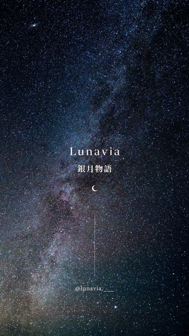 𝑳𝒖𝒏𝒂𝒗𝒊𝒂 銀月物語 ☾ .*
