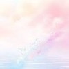 主のフォロワー様限定オプ！