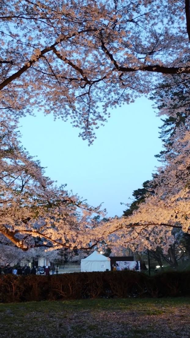 2024年 保育士試験 虹組🌈のオープンチャット