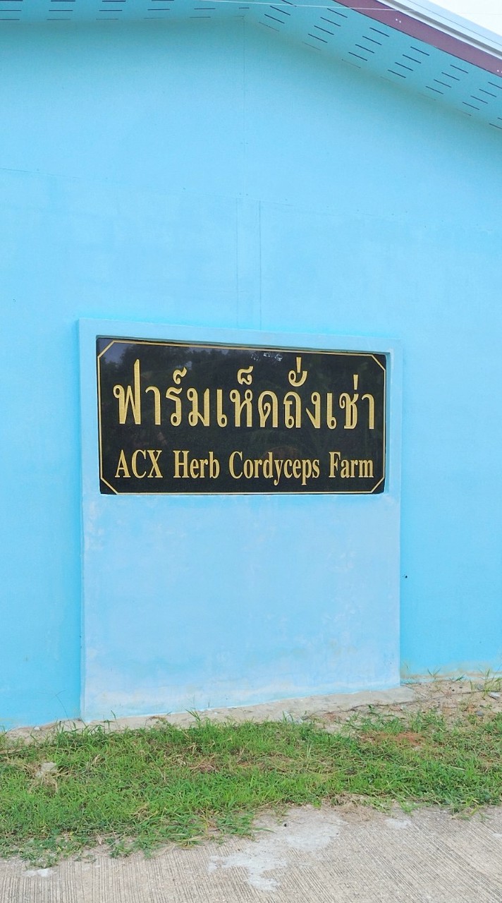 ติดตามเรื่องฟาร์มถั่งเช่า