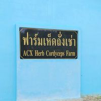 ติดตามเรื่องฟาร์มถั่งเช่า