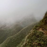 💞💖樂活慢遊樂齡旅遊美食團🐾🍀🌹