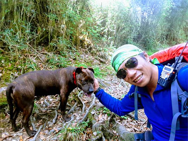 快新聞 暖哭眾人 比特犬 小花花 下山了 山友負傷引導大呼 都值得了 民視新聞網 Line Today