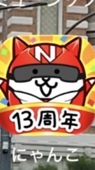 にゃんこ教オプチャ支部