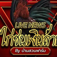 ไก่ชนเงินล้าน By บ้านสวนฟาร์ม