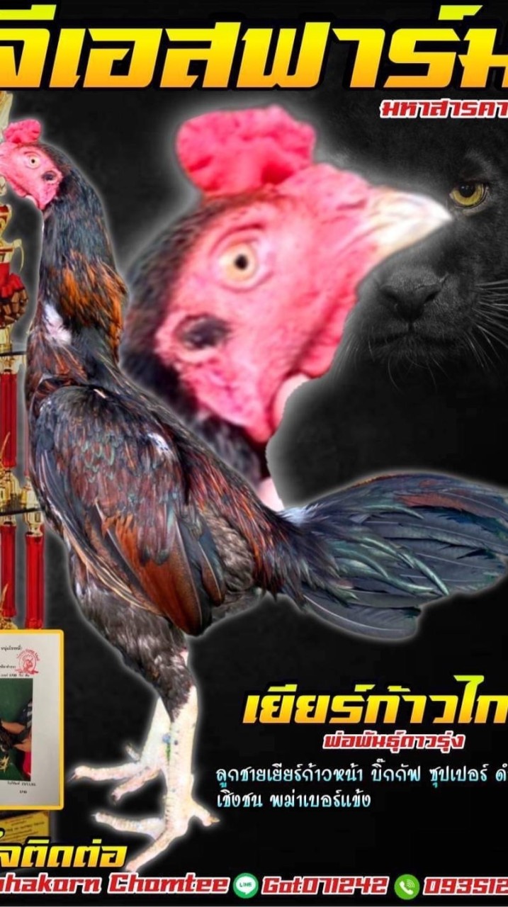 Gs ฟร์ามมหาสารคาม