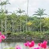 仲良く雑談しよー(年齢制限なし)