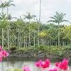 仲良く雑談しよー(年齢制限なし)