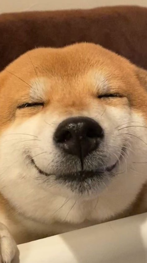 いわしてんぐのイワシック