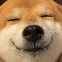 いわしてんぐのイワシック