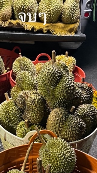 สามศรีพี่น้อง