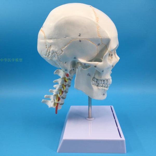 商品尺寸兩種以上需詢問後再下單商品尺寸兩種以上需詢