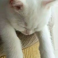 ศูนย์รวมคนรักอนิเมะ🥺🤏🏻