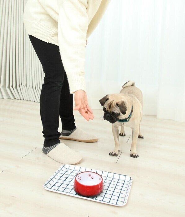 ゴハン中に近づくと噛む 愛犬の 困った噛み の解決法