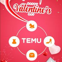 TEMU SHOP ONLINE 5