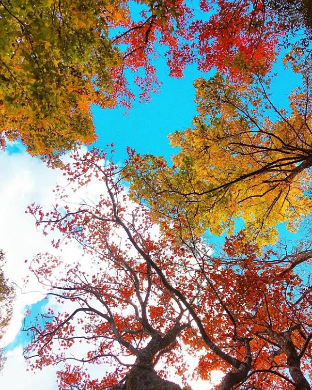 圖片授權：IG @winforfoody